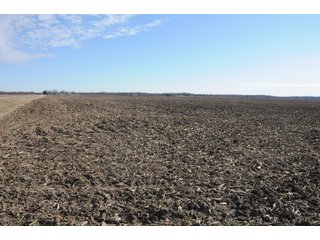 Property photo 125 - MAJOR ILLINOIS LAND AUCTION - 809+/- ACRES IN 12 TRACTS IN PIATT COUNTY, ILLINOIS