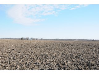 Property photo 84 - MAJOR ILLINOIS LAND AUCTION - 809+/- ACRES IN 12 TRACTS IN PIATT COUNTY, ILLINOIS
