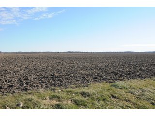 Property photo 164 - MAJOR ILLINOIS LAND AUCTION - 809+/- ACRES IN 12 TRACTS IN PIATT COUNTY, ILLINOIS