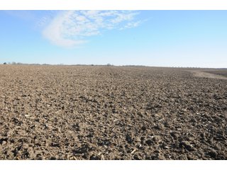 Property photo 94 - MAJOR ILLINOIS LAND AUCTION - 809+/- ACRES IN 12 TRACTS IN PIATT COUNTY, ILLINOIS