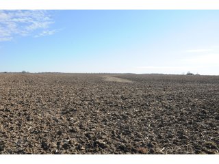 Property photo 170 - MAJOR ILLINOIS LAND AUCTION - 809+/- ACRES IN 12 TRACTS IN PIATT COUNTY, ILLINOIS