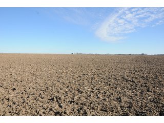 TRACT 1 - MAJOR ILLINOIS LAND AUCTION - 809+/- ACRES IN 12 TRACTS IN PIATT COUNTY, ILLINOIS