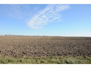 Property photo 113 - MAJOR ILLINOIS LAND AUCTION - 809+/- ACRES IN 12 TRACTS IN PIATT COUNTY, ILLINOIS