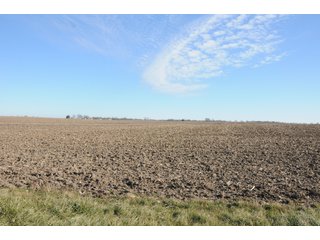 Property photo 175 - MAJOR ILLINOIS LAND AUCTION - 809+/- ACRES IN 12 TRACTS IN PIATT COUNTY, ILLINOIS