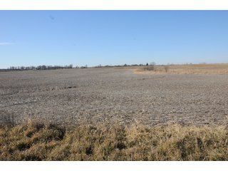 Property photo 119 - MAJOR ILLINOIS LAND AUCTION - 809+/- ACRES IN 12 TRACTS IN PIATT COUNTY, ILLINOIS