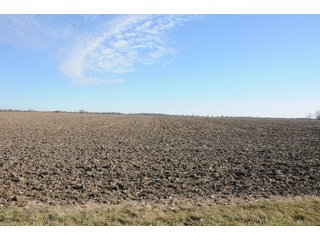Property photo 145 - MAJOR ILLINOIS LAND AUCTION - 809+/- ACRES IN 12 TRACTS IN PIATT COUNTY, ILLINOIS