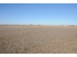 Property photo 184 - MAJOR ILLINOIS LAND AUCTION - 809+/- ACRES IN 12 TRACTS IN PIATT COUNTY, ILLINOIS