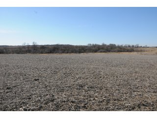 Property photo 193 - MAJOR ILLINOIS LAND AUCTION - 809+/- ACRES IN 12 TRACTS IN PIATT COUNTY, ILLINOIS