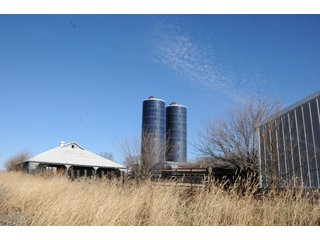 Property photo 65 - MAJOR ILLINOIS LAND AUCTION - 809+/- ACRES IN 12 TRACTS IN PIATT COUNTY, ILLINOIS