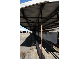 Property photo 57 - MAJOR ILLINOIS LAND AUCTION - 809+/- ACRES IN 12 TRACTS IN PIATT COUNTY, ILLINOIS