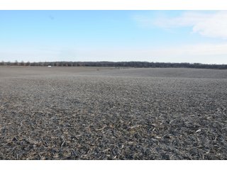 Property photo 187 - MAJOR ILLINOIS LAND AUCTION - 809+/- ACRES IN 12 TRACTS IN PIATT COUNTY, ILLINOIS