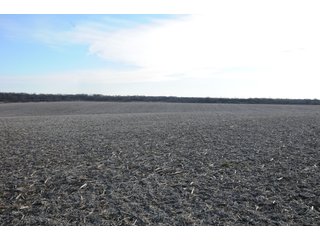 Property photo 202 - MAJOR ILLINOIS LAND AUCTION - 809+/- ACRES IN 12 TRACTS IN PIATT COUNTY, ILLINOIS