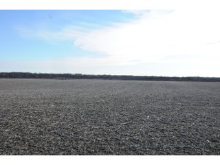 Property photo 205 - MAJOR ILLINOIS LAND AUCTION - 809+/- ACRES IN 12 TRACTS IN PIATT COUNTY, ILLINOIS