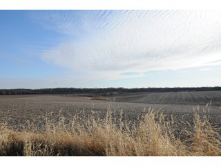 Property photo 200 - MAJOR ILLINOIS LAND AUCTION - 809+/- ACRES IN 12 TRACTS IN PIATT COUNTY, ILLINOIS