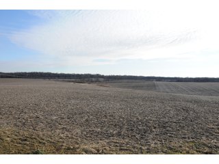 Property photo 204 - MAJOR ILLINOIS LAND AUCTION - 809+/- ACRES IN 12 TRACTS IN PIATT COUNTY, ILLINOIS