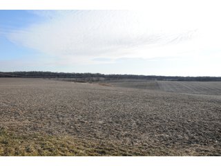 Property photo 194 - MAJOR ILLINOIS LAND AUCTION - 809+/- ACRES IN 12 TRACTS IN PIATT COUNTY, ILLINOIS