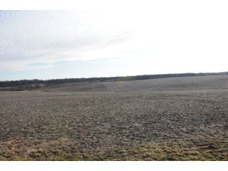 Property photo 201 - MAJOR ILLINOIS LAND AUCTION - 809+/- ACRES IN 12 TRACTS IN PIATT COUNTY, ILLINOIS