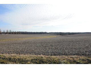 Property photo 203 - MAJOR ILLINOIS LAND AUCTION - 809+/- ACRES IN 12 TRACTS IN PIATT COUNTY, ILLINOIS