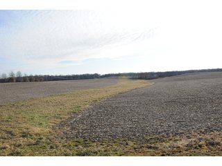 Property photo 208 - MAJOR ILLINOIS LAND AUCTION - 809+/- ACRES IN 12 TRACTS IN PIATT COUNTY, ILLINOIS