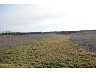 Property photo 198 - MAJOR ILLINOIS LAND AUCTION - 809+/- ACRES IN 12 TRACTS IN PIATT COUNTY, ILLINOIS
