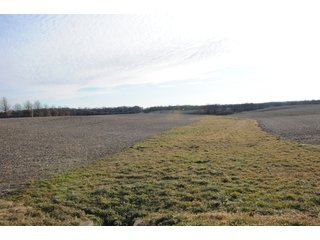 Property photo 197 - MAJOR ILLINOIS LAND AUCTION - 809+/- ACRES IN 12 TRACTS IN PIATT COUNTY, ILLINOIS