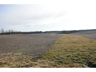 Property photo 207 - MAJOR ILLINOIS LAND AUCTION - 809+/- ACRES IN 12 TRACTS IN PIATT COUNTY, ILLINOIS