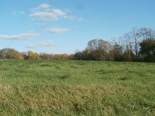 Property photo 5 - FARMLAND AUCTION - 122+/- ACRES IN 4 TRACTS FROM 22-43 ACRES IN FAYETTE COUNTY, INDIANA