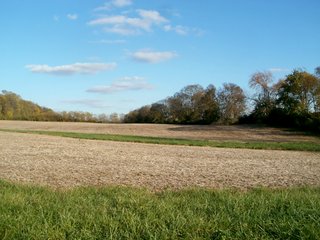 Property photo 1 - FARMLAND AUCTION - 122+/- ACRES IN 4 TRACTS FROM 22-43 ACRES IN FAYETTE COUNTY, INDIANA