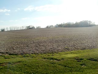 Property photo 16 - FARMLAND AUCTION - 122+/- ACRES IN 4 TRACTS FROM 22-43 ACRES IN FAYETTE COUNTY, INDIANA