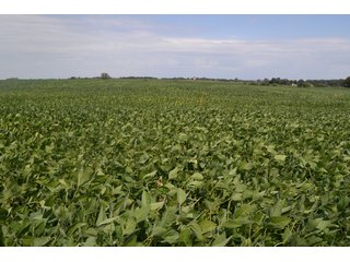 Property photo 29 - MAJOR ILLINOIS LAND AUCTION - 752.54+/- ACRES OFFERED IN 9 TRACTS IN KANKAKEE COUNTY, ILLINOIS