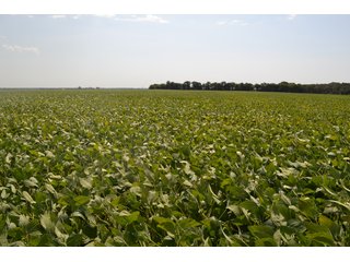 Property photo 17 - MAJOR ILLINOIS LAND AUCTION - 752.54+/- ACRES OFFERED IN 9 TRACTS IN KANKAKEE COUNTY, ILLINOIS