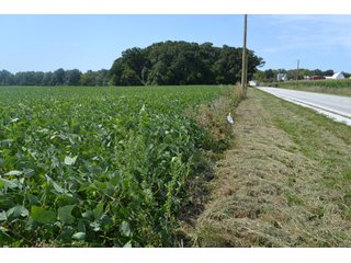 Property photo 28 - MAJOR ILLINOIS LAND AUCTION - 752.54+/- ACRES OFFERED IN 9 TRACTS IN KANKAKEE COUNTY, ILLINOIS