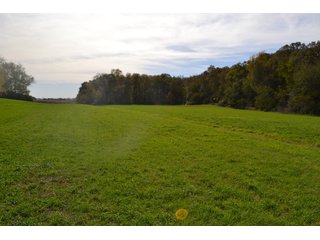 Property photo 21 - MAJOR ILLINOIS LAND AUCTION - 752.54+/- ACRES OFFERED IN 9 TRACTS IN KANKAKEE COUNTY, ILLINOIS