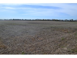 Property photo 23 - MAJOR ILLINOIS LAND AUCTION - 752.54+/- ACRES OFFERED IN 9 TRACTS IN KANKAKEE COUNTY, ILLINOIS