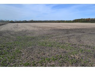 Property photo 49 - MAJOR ILLINOIS LAND AUCTION - 752.54+/- ACRES OFFERED IN 9 TRACTS IN KANKAKEE COUNTY, ILLINOIS