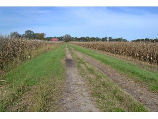 Property photo 27 - MAJOR ILLINOIS LAND AUCTION - 752.54+/- ACRES OFFERED IN 9 TRACTS IN KANKAKEE COUNTY, ILLINOIS