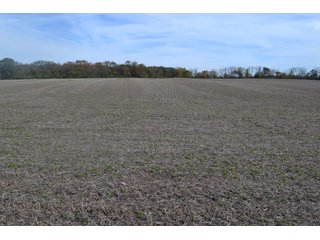Property photo 71 - MAJOR ILLINOIS LAND AUCTION - 752.54+/- ACRES OFFERED IN 9 TRACTS IN KANKAKEE COUNTY, ILLINOIS