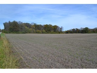 Property photo 96 - MAJOR ILLINOIS LAND AUCTION - 752.54+/- ACRES OFFERED IN 9 TRACTS IN KANKAKEE COUNTY, ILLINOIS