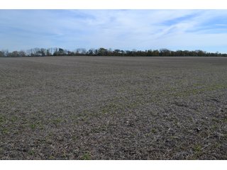 Property photo 57 - MAJOR ILLINOIS LAND AUCTION - 752.54+/- ACRES OFFERED IN 9 TRACTS IN KANKAKEE COUNTY, ILLINOIS