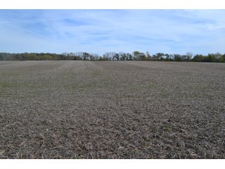 Property photo 85 - MAJOR ILLINOIS LAND AUCTION - 752.54+/- ACRES OFFERED IN 9 TRACTS IN KANKAKEE COUNTY, ILLINOIS