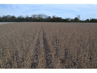 Property photo 92 - MAJOR ILLINOIS LAND AUCTION - 752.54+/- ACRES OFFERED IN 9 TRACTS IN KANKAKEE COUNTY, ILLINOIS