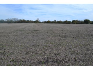 Property photo 87 - MAJOR ILLINOIS LAND AUCTION - 752.54+/- ACRES OFFERED IN 9 TRACTS IN KANKAKEE COUNTY, ILLINOIS