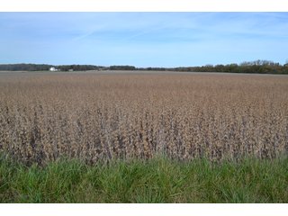 Property photo 102 - MAJOR ILLINOIS LAND AUCTION - 752.54+/- ACRES OFFERED IN 9 TRACTS IN KANKAKEE COUNTY, ILLINOIS
