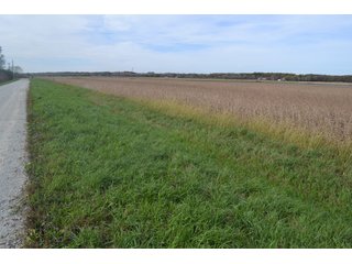 Property photo 75 - MAJOR ILLINOIS LAND AUCTION - 752.54+/- ACRES OFFERED IN 9 TRACTS IN KANKAKEE COUNTY, ILLINOIS