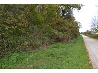 Property photo 73 - MAJOR ILLINOIS LAND AUCTION - 752.54+/- ACRES OFFERED IN 9 TRACTS IN KANKAKEE COUNTY, ILLINOIS