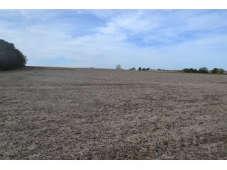 Property photo 91 - MAJOR ILLINOIS LAND AUCTION - 752.54+/- ACRES OFFERED IN 9 TRACTS IN KANKAKEE COUNTY, ILLINOIS