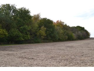 Property photo 66 - MAJOR ILLINOIS LAND AUCTION - 752.54+/- ACRES OFFERED IN 9 TRACTS IN KANKAKEE COUNTY, ILLINOIS