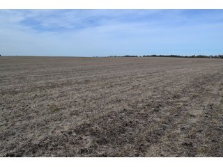 Property photo 80 - MAJOR ILLINOIS LAND AUCTION - 752.54+/- ACRES OFFERED IN 9 TRACTS IN KANKAKEE COUNTY, ILLINOIS