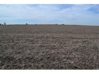 Property photo 69 - MAJOR ILLINOIS LAND AUCTION - 752.54+/- ACRES OFFERED IN 9 TRACTS IN KANKAKEE COUNTY, ILLINOIS