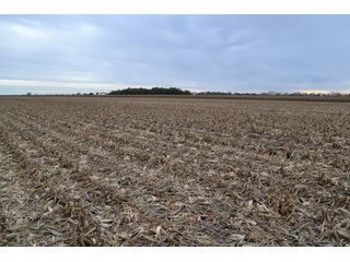 Property photo 59 - MAJOR ILLINOIS LAND AUCTION - 752.54+/- ACRES OFFERED IN 9 TRACTS IN KANKAKEE COUNTY, ILLINOIS